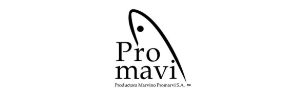 LOGOS PARA TAXAD (2)